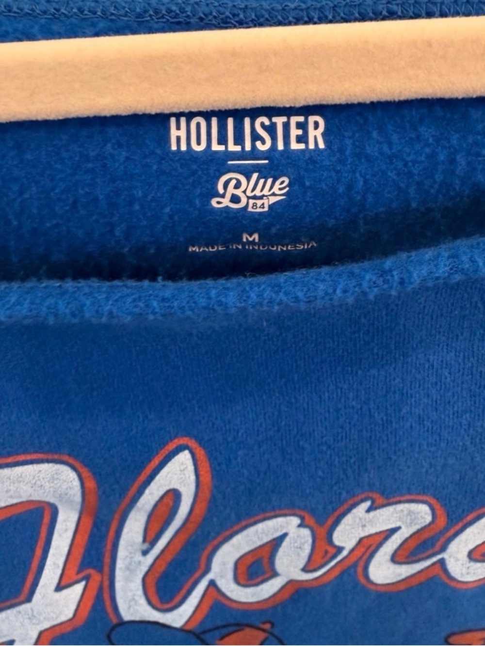 Florida Gators Blue Off-Shoulder Sweatshirt Hollister size medium - Picture 2 of 3